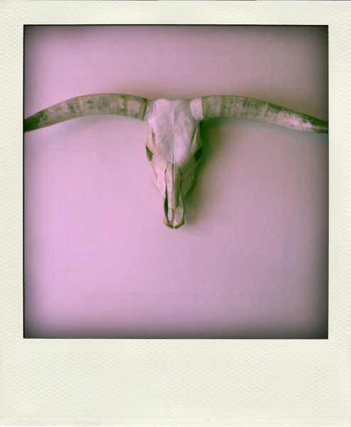 Betsy de Stier